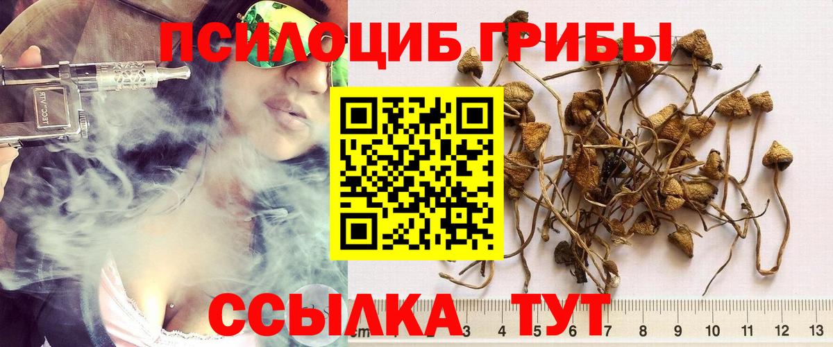 Псилоцибиновые грибы прущие грибы  Вход с VPN  Калининград 